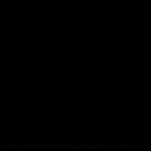 Meet your Posher, Ruth